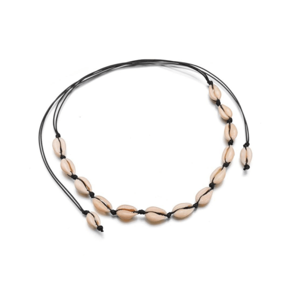 Ланче со школки